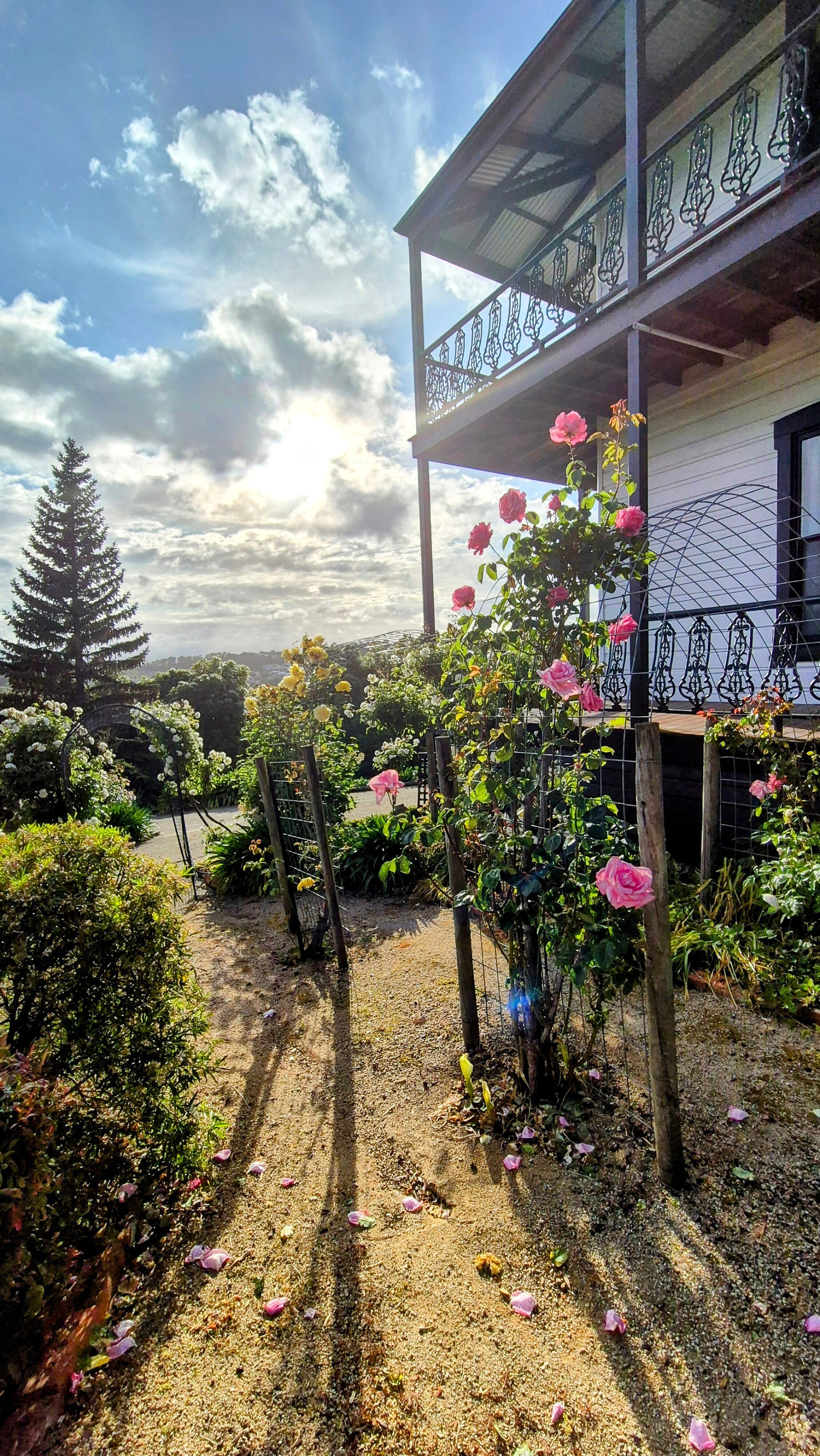 The Dragonfly Inn-浴室