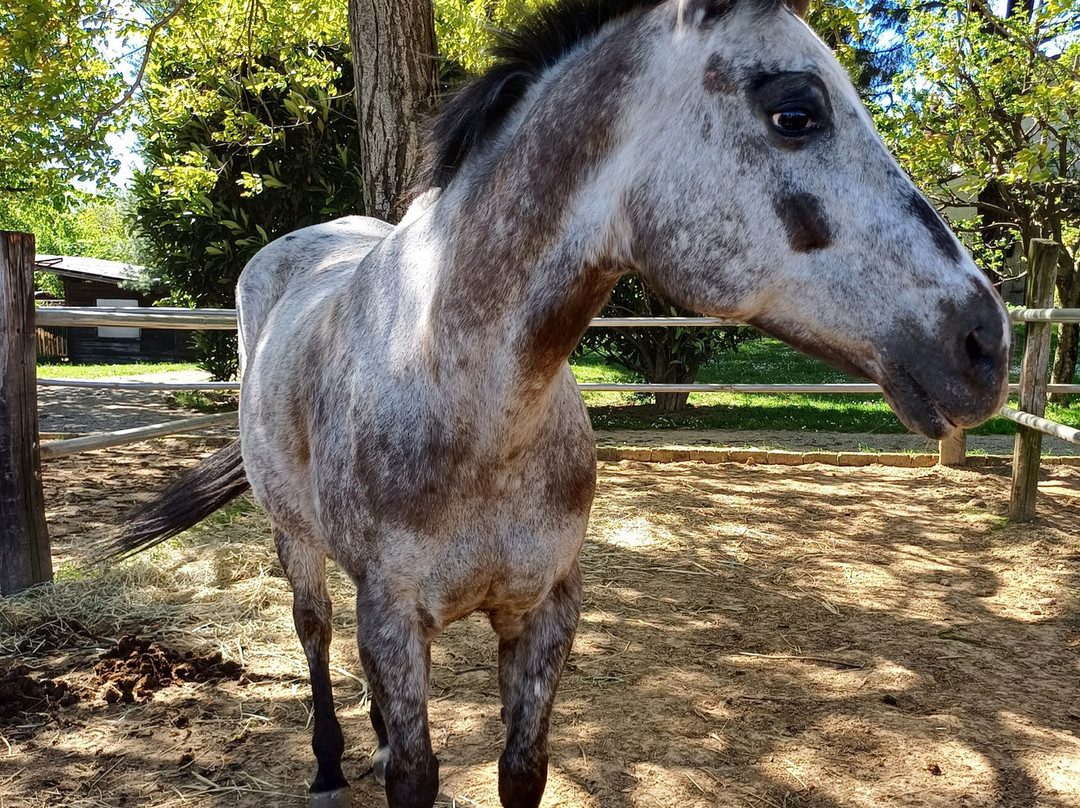 Fattoria Piolanti-Lazzate必去景点