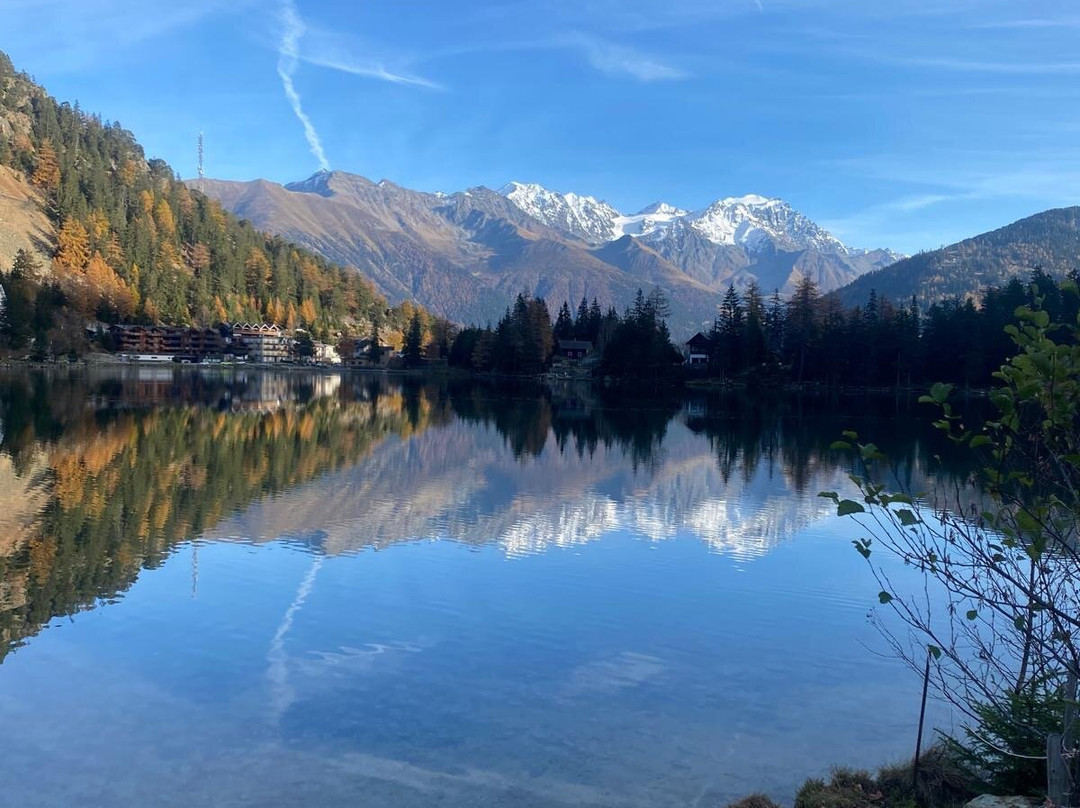 Lac Alpin De Champex景点图片