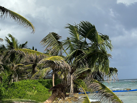 Taxi Tour Costa Maya-Mahahual必去景点