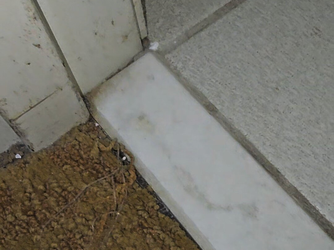 Country Inn & Suites by Radisson, Dundee, MI主图