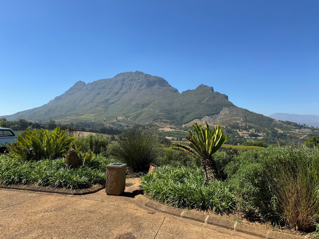 Cape Trio Tours-开普敦中心区必去景点