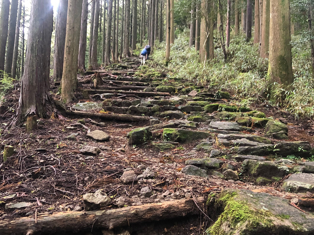 Kumano Kodo景点图片