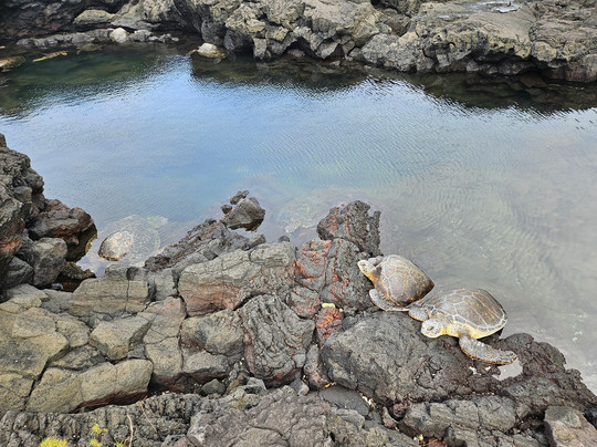 Makaio Tours Hawaii-希洛必去景点