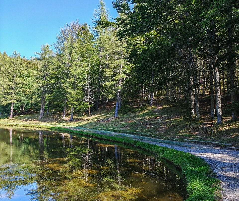 Il Lago della Ninfa景点图片