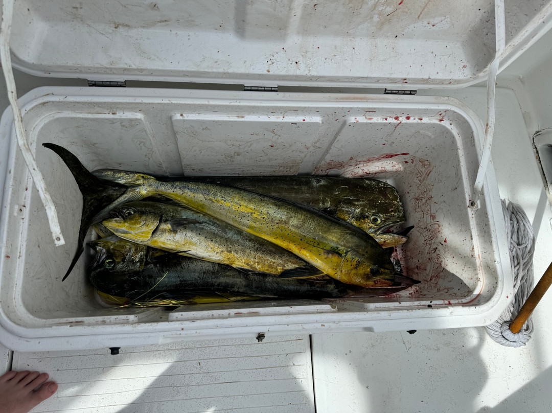 High Z's Fishing Tours-普拉塔港必去景点