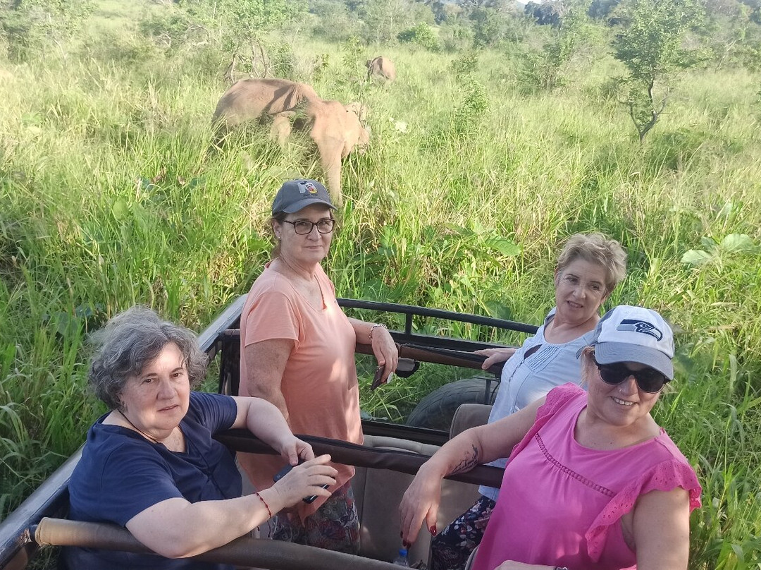 Hola Sri Lanka Tours景点图片