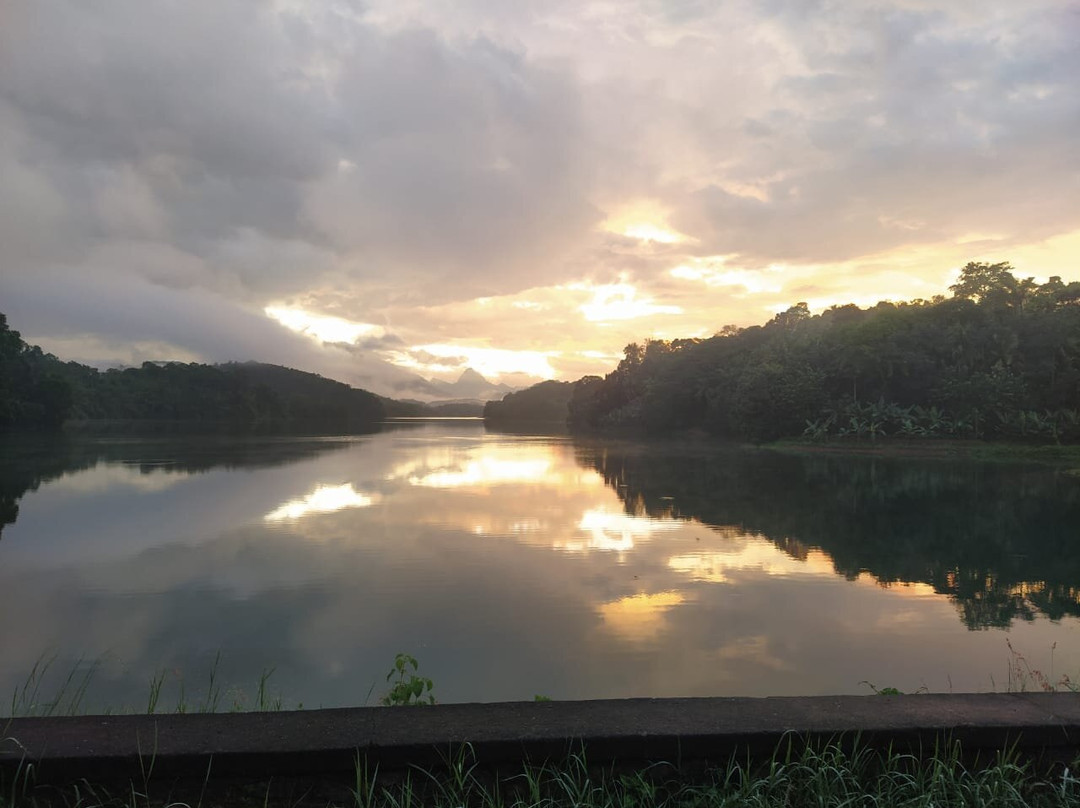 Sivananda Yoga Vedanta Dhanwantari Ashram景点图片