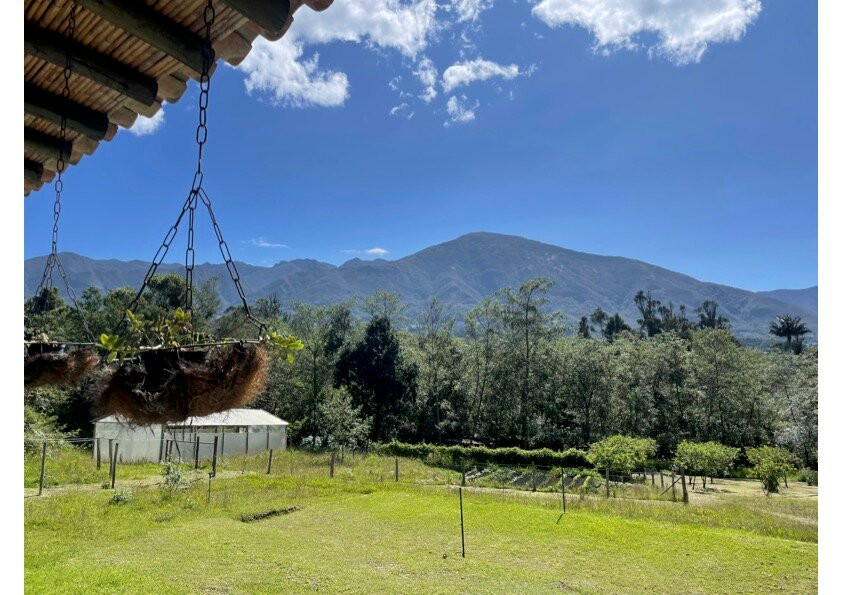 Passadhi Ayurveda & Yoga Retreat主图