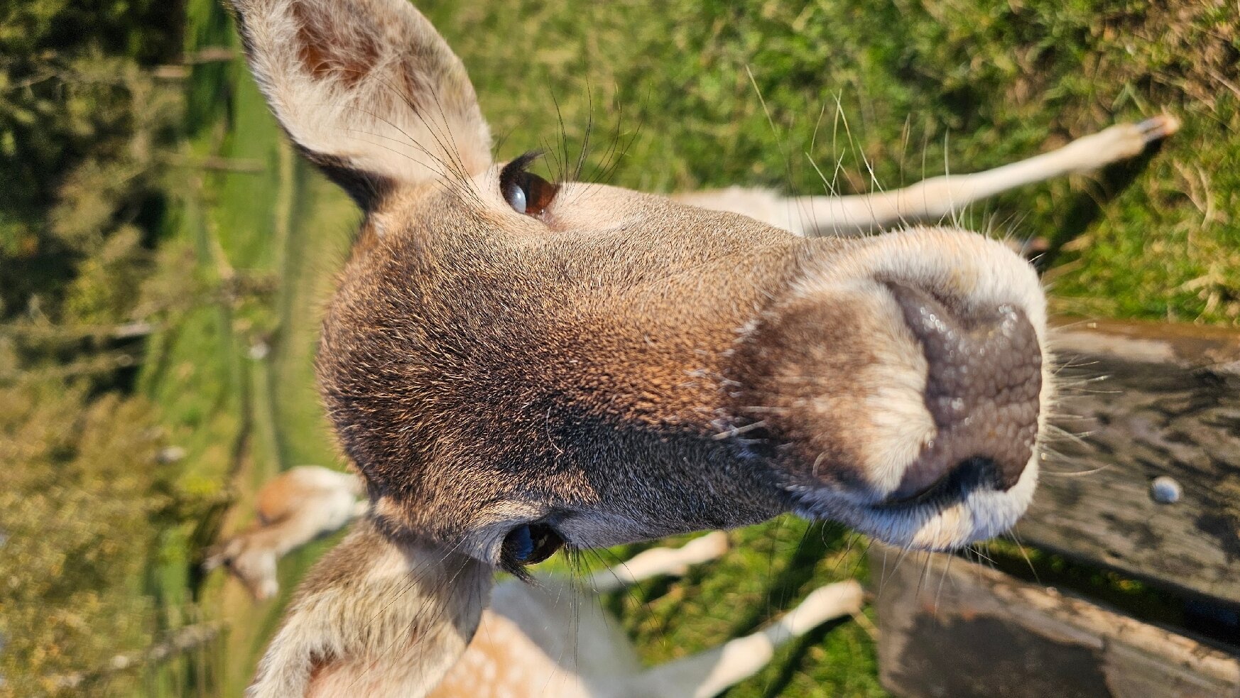 卡斯腾霍兹酒店-官方