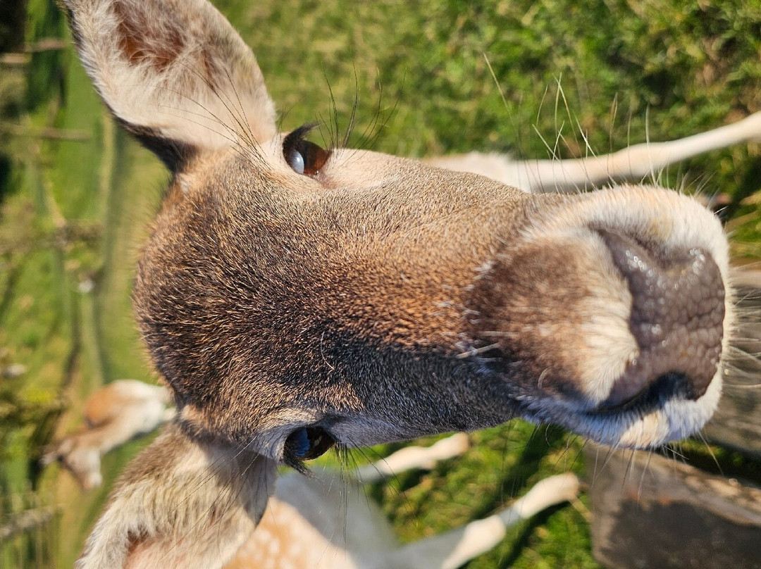 卡斯腾霍兹酒店主图