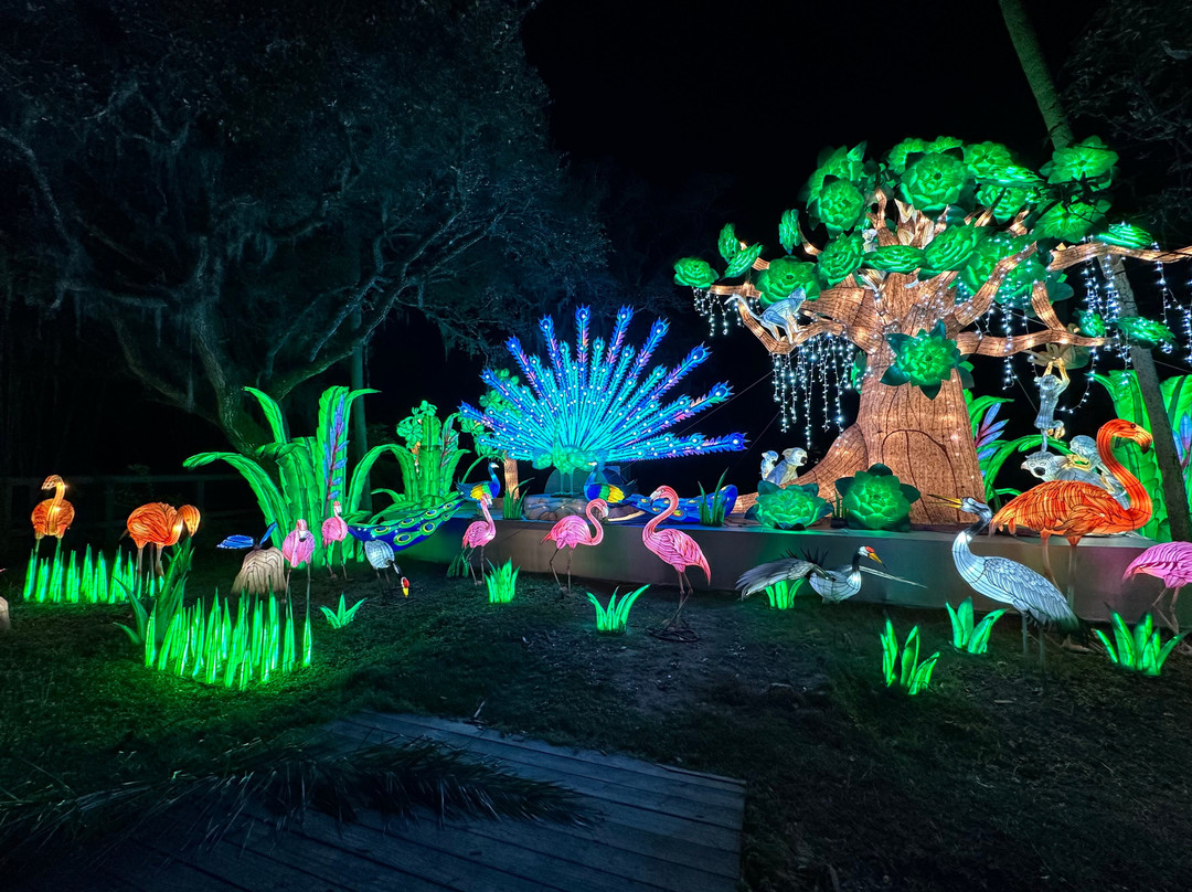 Asian Lantern Festival-桑福德必去景点