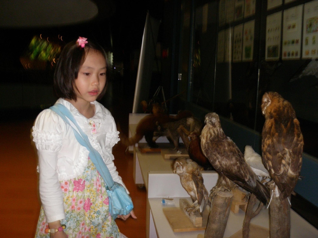 昆明动物博物馆-昆明市必去景点