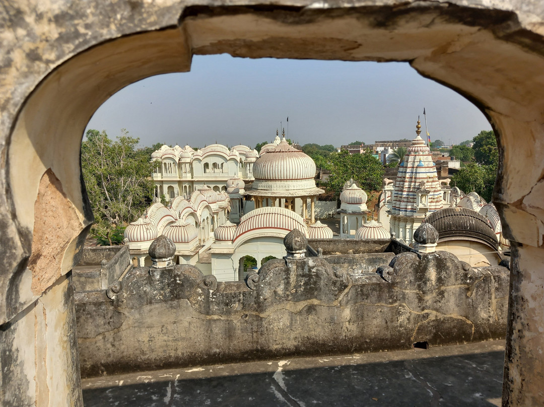 Dr. Ramnath A. Podar Haveli Museum景点图片