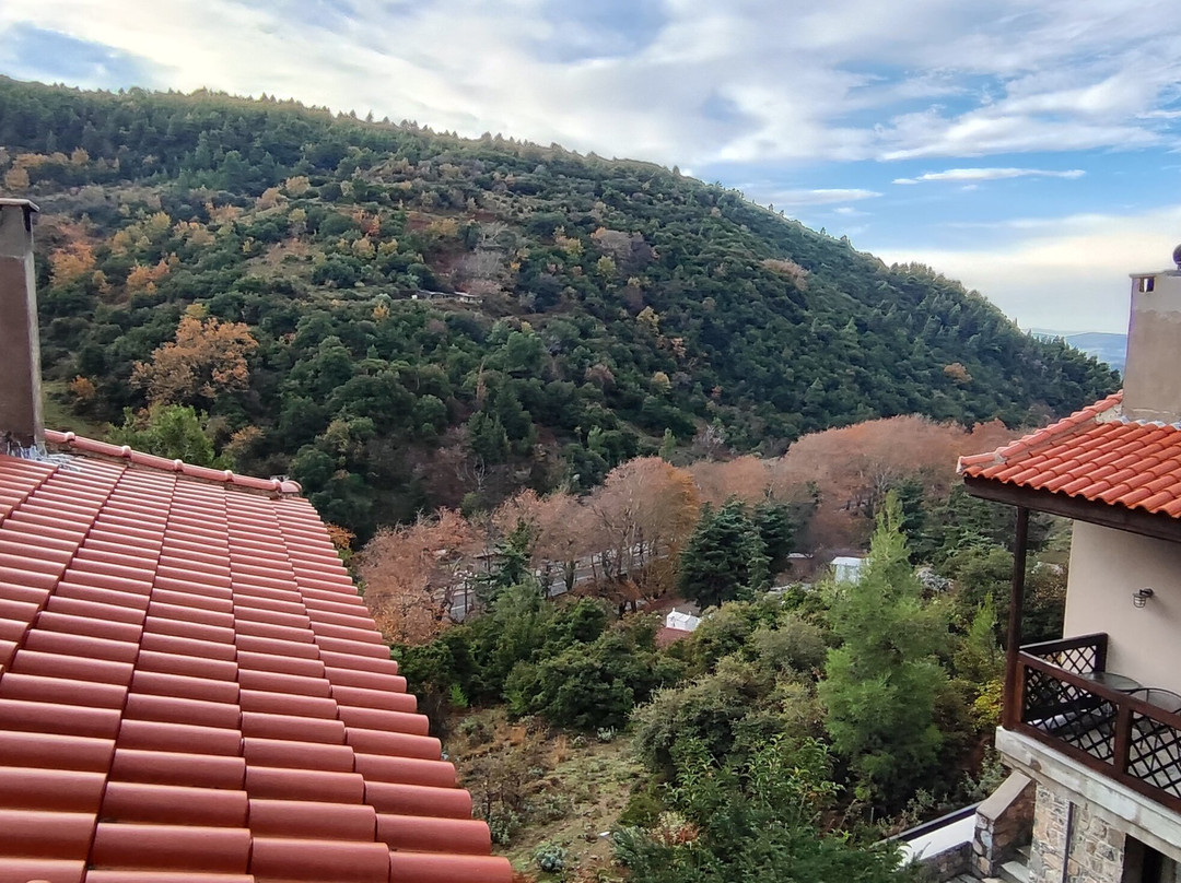 Vasiliki Guesthouse主图