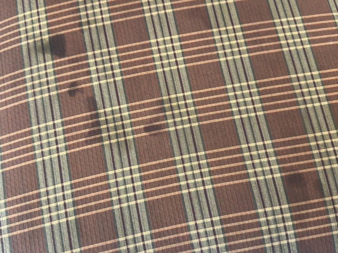 Comfort Inn & Suites主图