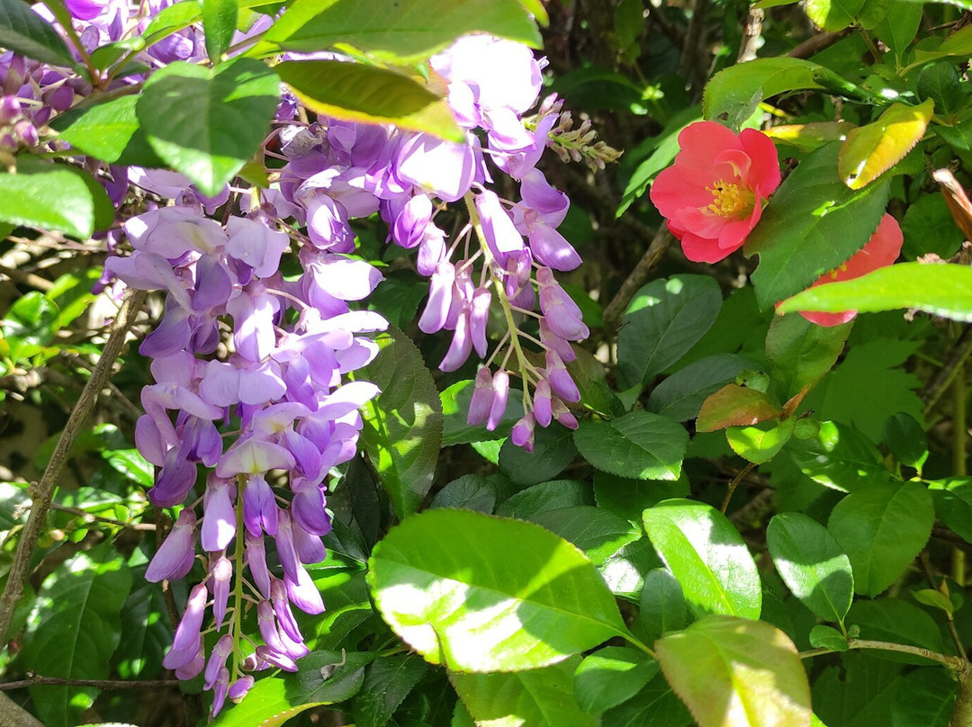 13 Bees Chambre d'Hote (B&B) and Beekeeping Holidays主图