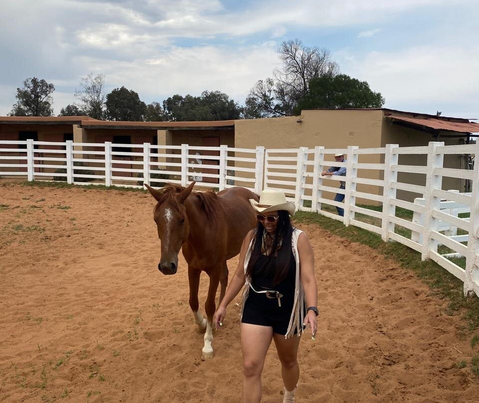 Diamond X Cowboy Ranch-Rayton必去景点