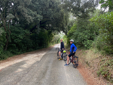 South Spirit-阿维尼翁必去景点