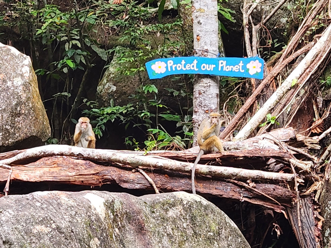 Andahalena Ella Waterfall-Elpitiya必去景点