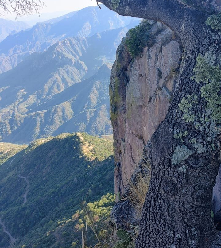 Copper Canyon Adventures-El Fuerte必去景点