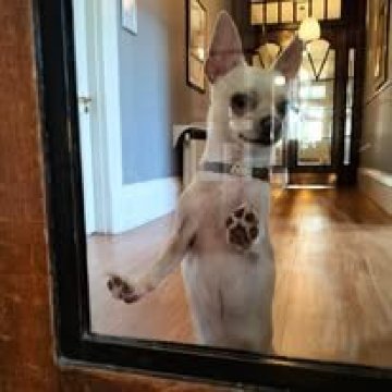 The Great Western Hotel-浴室