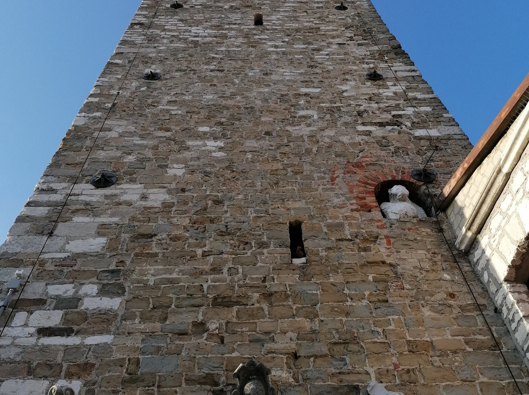Torre Millenaria景点图片