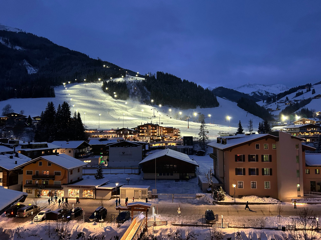 Hotel Sonnblick主图