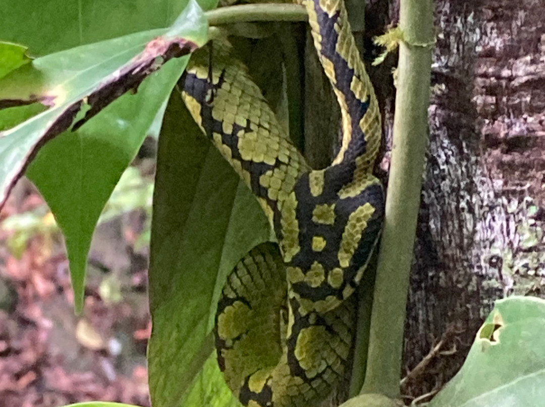 Dala's Tours-Deniyaya必去景点