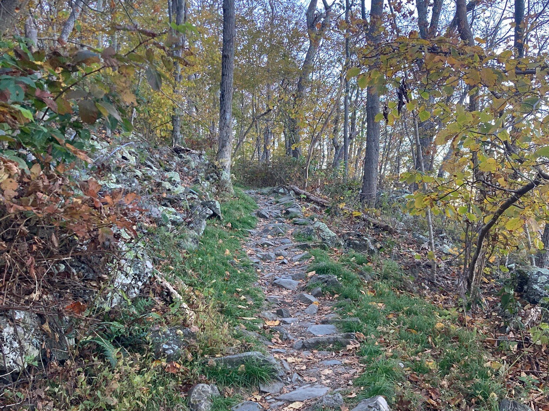 Stony Man Mountain Hike-卢雷必去景点