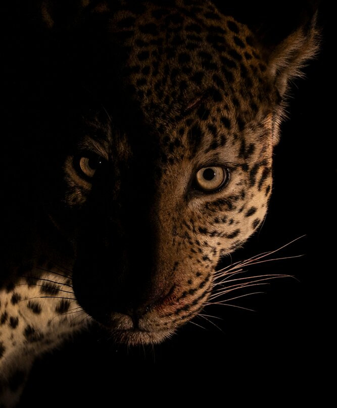 Apex Tours & Safaris-比勒陀利亚必去景点