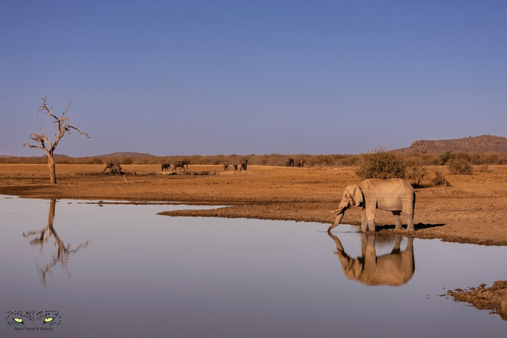Apex Tours & Safaris-比勒陀利亚必去景点