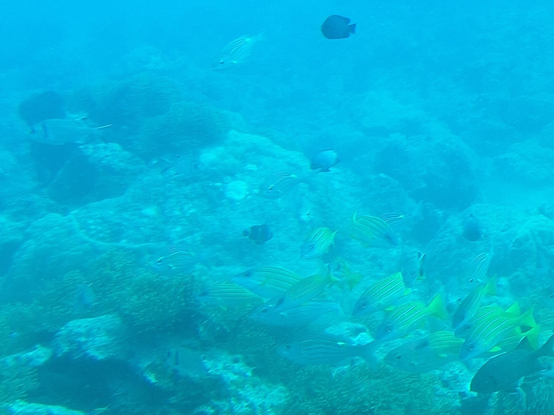 Taxi Mauritius-红地必去景点