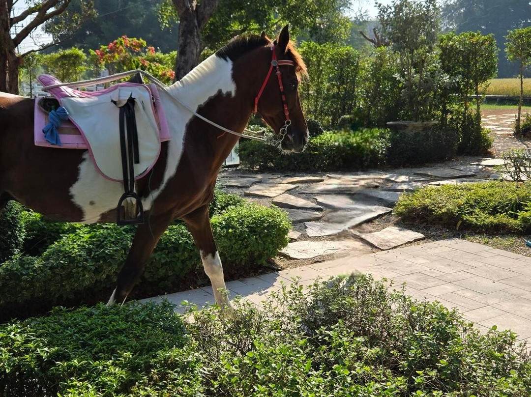 华欣杜斯特塔尼酒店主图