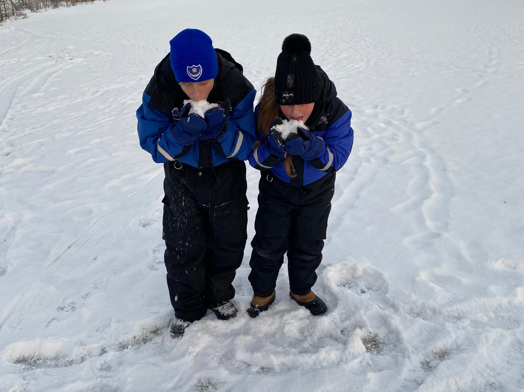 Holiday Club Kuusamon Tropiikki主图