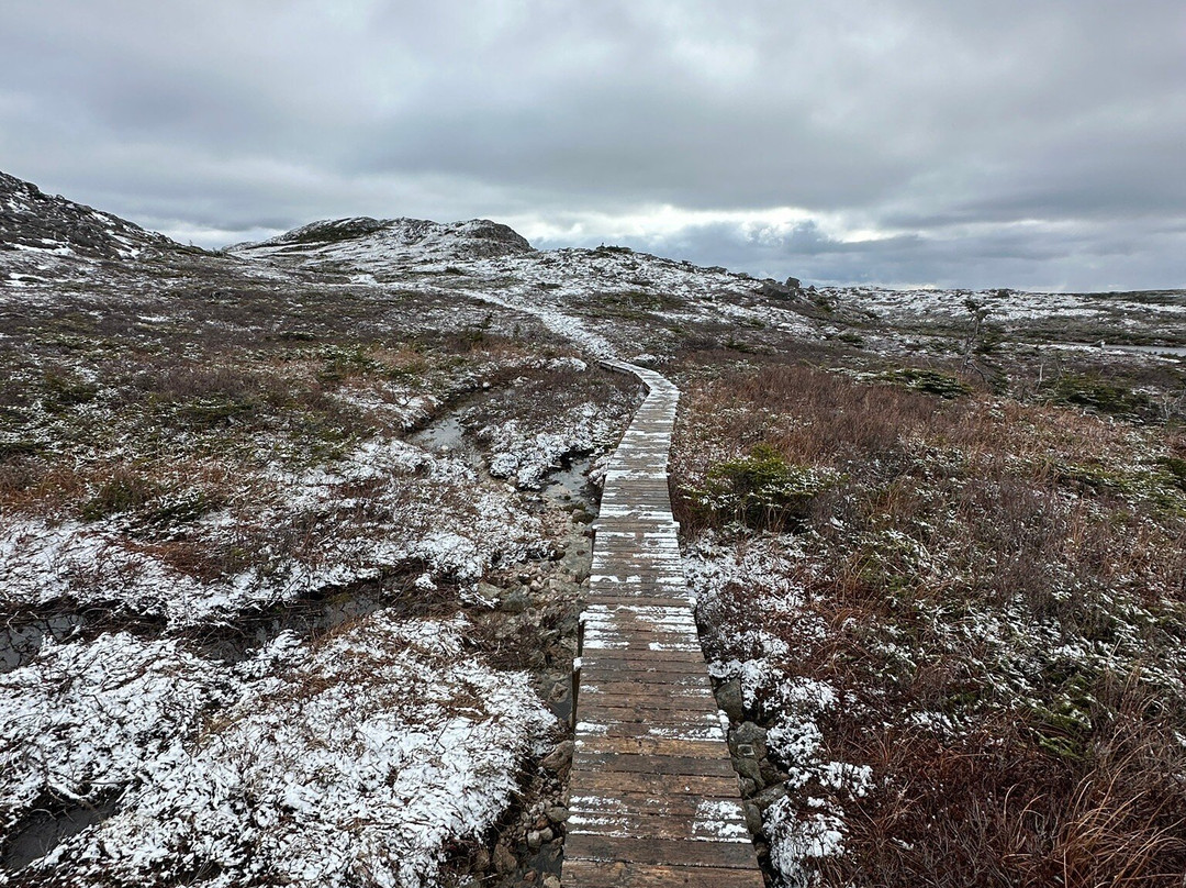 Escapade Insulaire-圣皮埃尔和密克隆必去景点