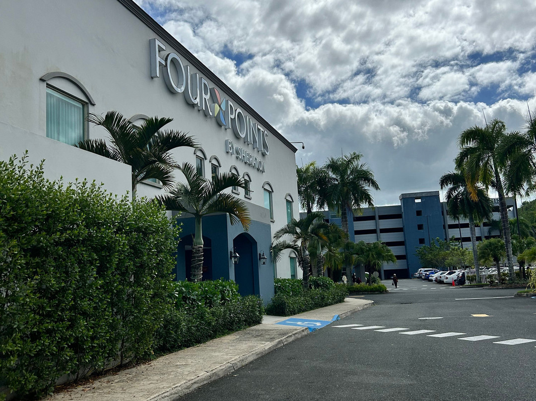 Four Points by Sheraton Caguas Real Hotel & Casino主图