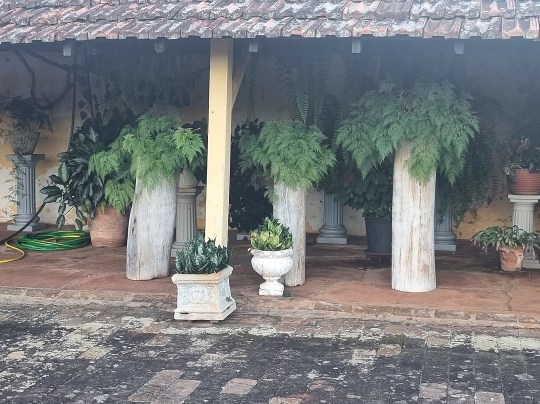 Fazenda Monte Bello景点图片