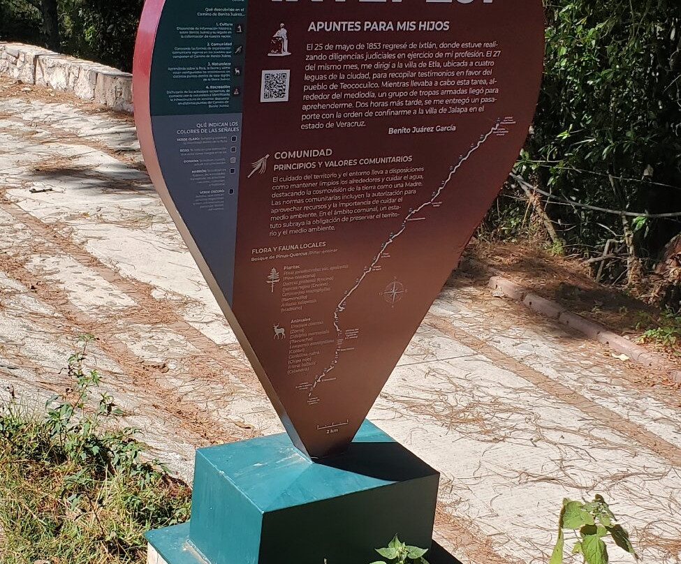 Birding Tours Oaxaca-瓦哈卡必去景点