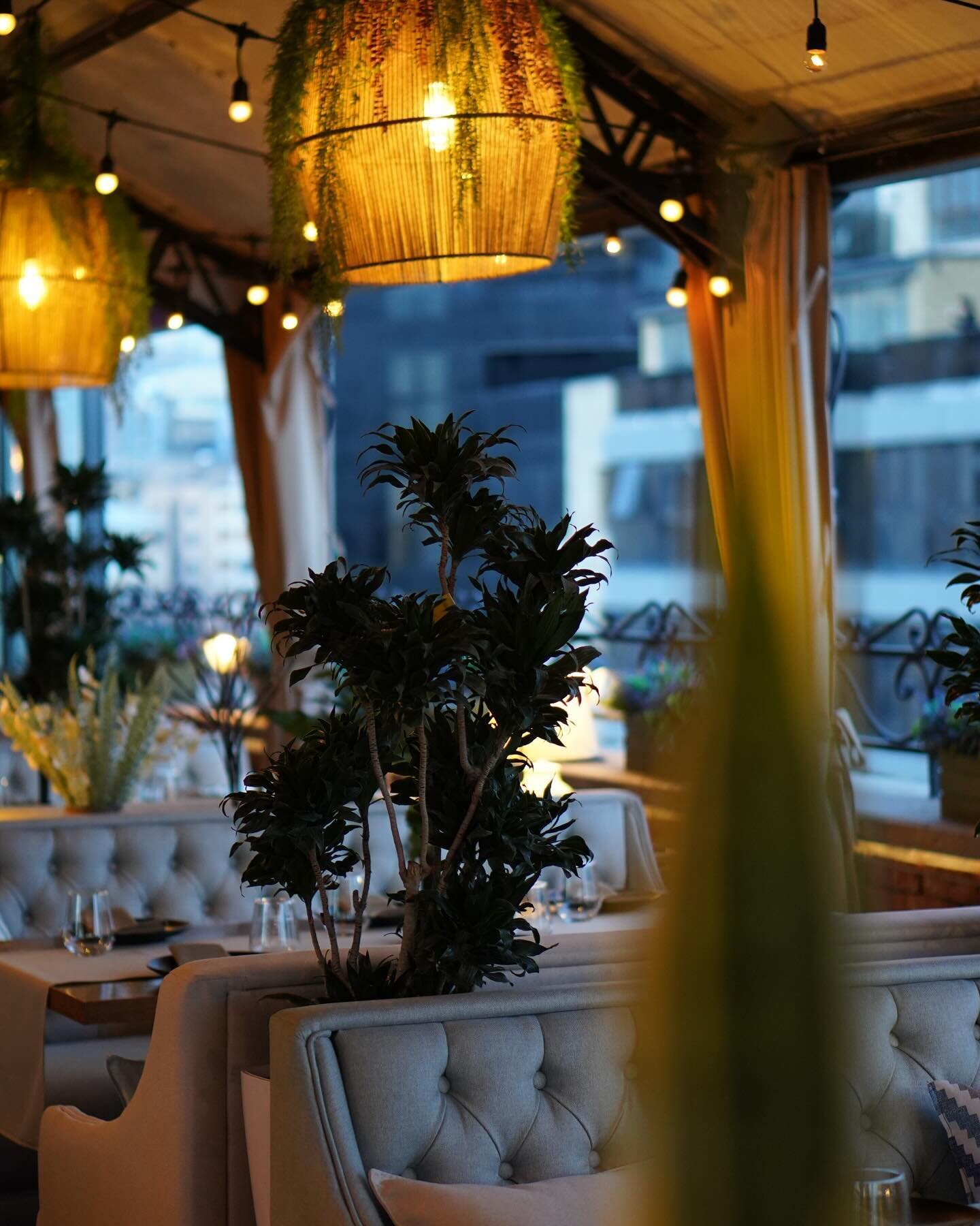 Paris Hotel-餐饮