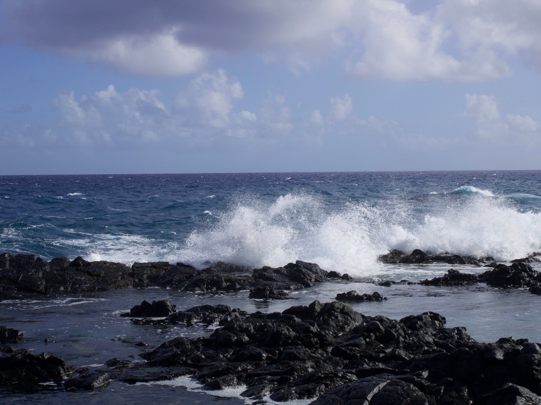Makapu’u Point Tide Pools-威玛纳诺必去景点
