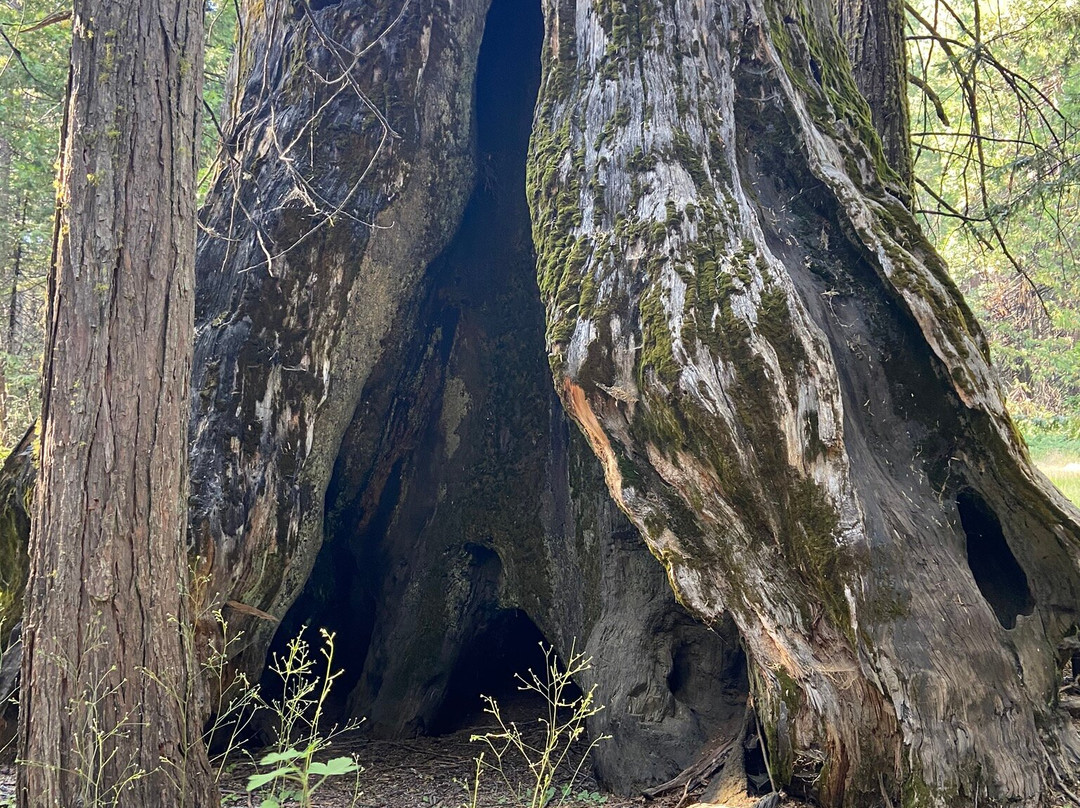 内尔德格罗夫-马德拉必去景点