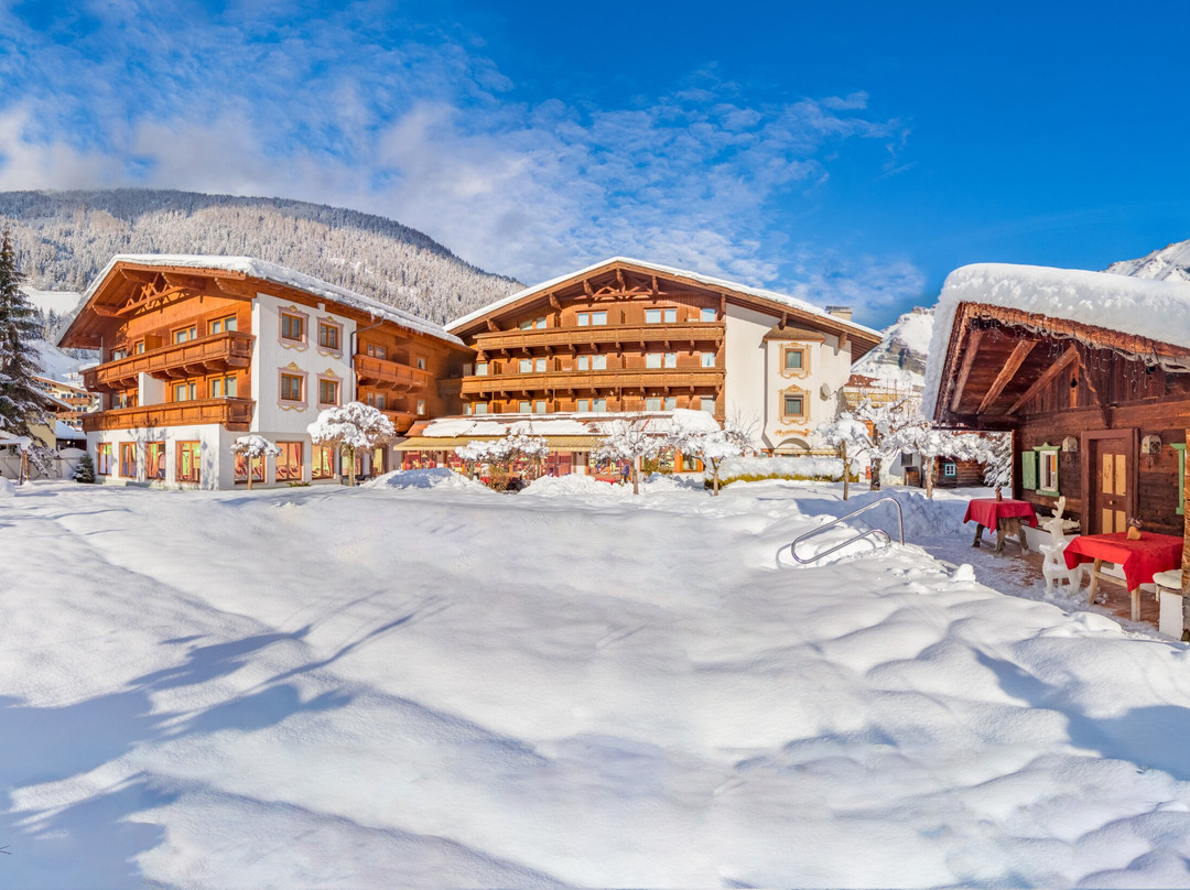 Alpenhotel Tirolerhof主图