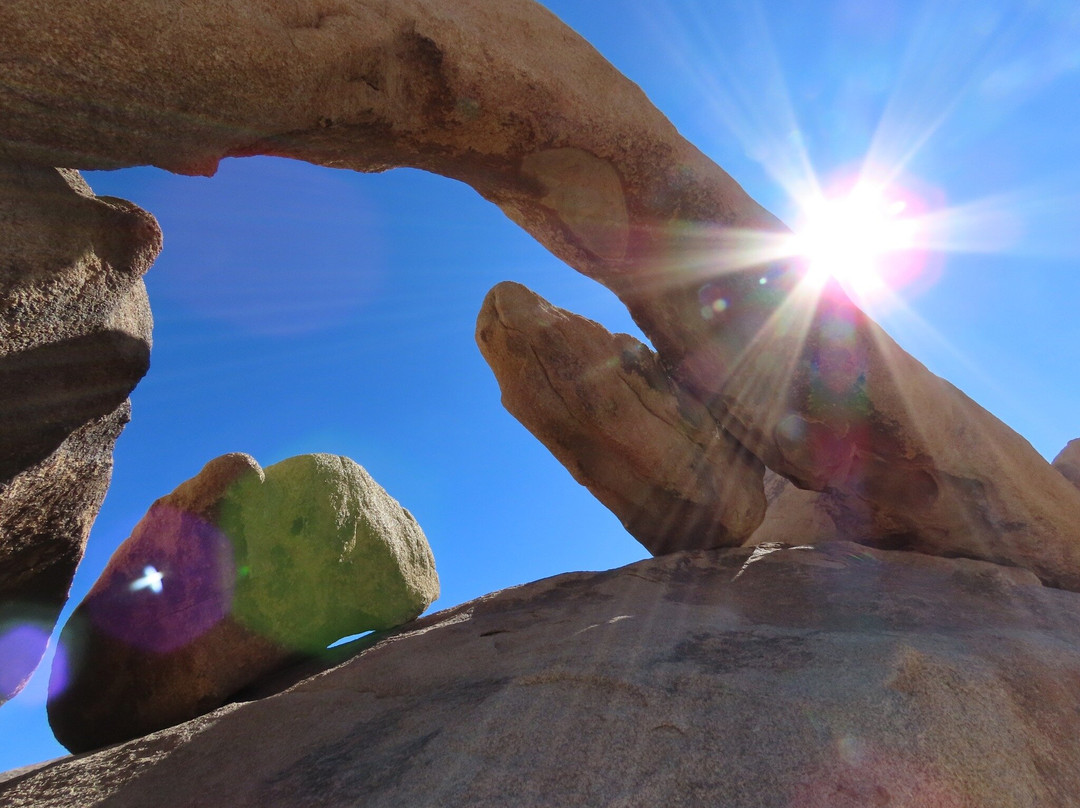 Arch Rock Nature Trail-约书亚树国家公园必去景点