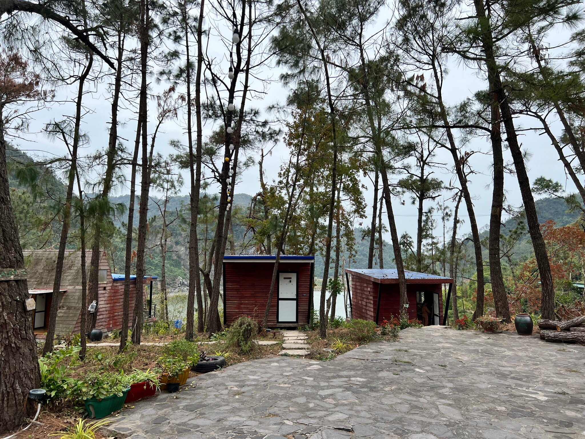 Cat Ba Eco Lodge-官方