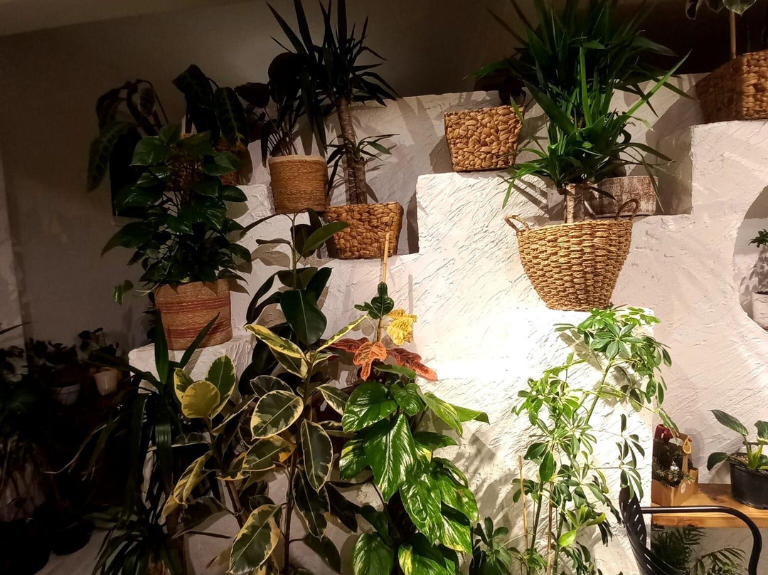 Chloris's Garden景点图片