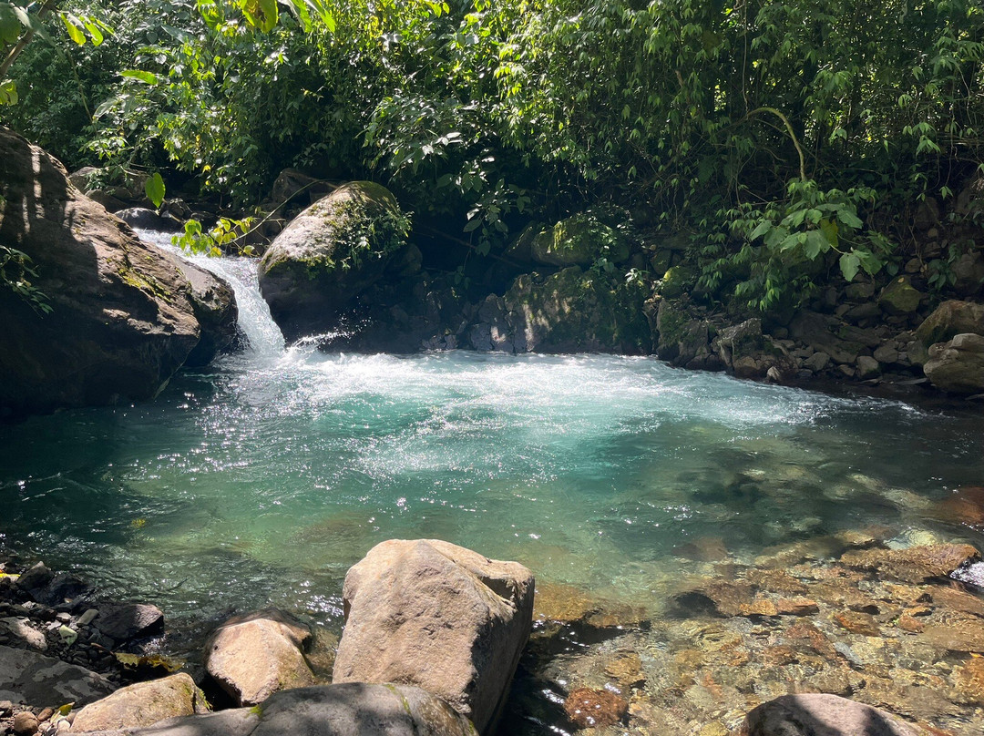 Finca Ecologica San Luis-蒙特沃德必去景点