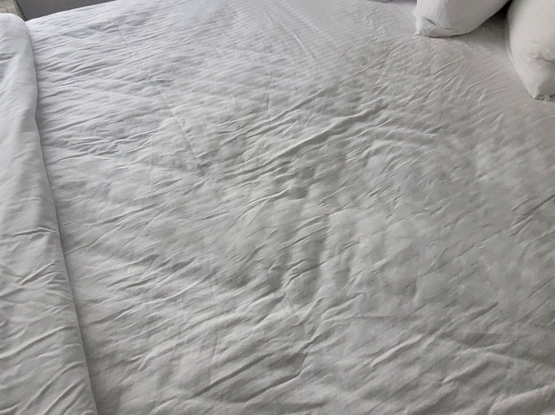 贝斯特韦斯特奥克布鲁克酒店主图