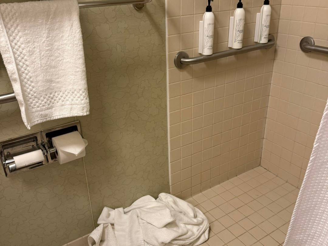 SpringHill Suites by Marriott Devens Common Center主图