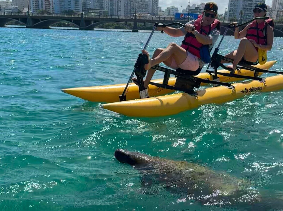 Condado Lagoon Water Bike Tour – Chiliboats-圣胡安必去景点